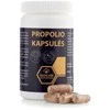 PROPOLIO KAPSULĖS, 40 kaps.