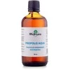 PROPOLIO VANDENINIO EKSTRAKTAS, 100 ml (Propolis Aqua 100 ml)