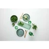 BITZ Gastro lėkštė juoda/žalia 27cm