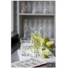 Lyngby Glas Krystal Lyngby Glas Melodia viskio taurė/aukšta taurė 8 vnt.