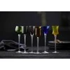 Crystal Julia Lyngby Glas šoto taurės London, 18 cm 6 vnt. įvairių spalvų
