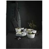 Pillivuyt Dubuo Toulouse 3 litrai 23 cm baltas