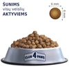 Visavertis sausas pašaras suaugusiems šunims CLUB 4 PAWS PREMIUM ACTIVE, 14 kg