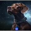 Happet LED antkaklis žalias L 70cm