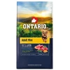 Ontario Adult Mini ėriena &amp; Brown ryžiai 6,5kg