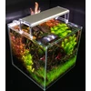 Skylight ENTRIQ F6XL. 150AH
