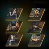 Trex Sport Daugiafunkcinės treniruočių lygiagretės