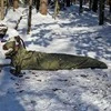 Bivy Bag Bushmen HIDEOUT THERMO olive multifunctional 600g
