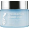 Zenzia Hyaluronic Acid Ampoule Kreminis - intensyviai drėkinantis veido kremas su hialurono rūgštimi, 70 ml