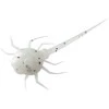 13 Fishing Spiningavimo masalas 13Fishing Coconut Crab 3,2cm (6 vnt.)