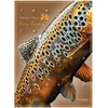 Advento kalendorius Fladen Christmas calender 5.0 premium