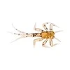 Blue Spiningavimo masalas Mėlyna Fox MayFly Big Nymph Perch Crayfish 2.5cm