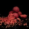 Boiliai Lunar Baits Hydra 20mm 2kg