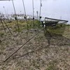 FL Graibštas karpių žūklei