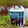 Masals žuvims + sistemėlė – pilnas viliojimo rinkinys