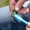 Šepetėlis/adata Cresta Method Cleaning