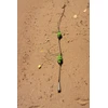 Sistema dugninei žūklei FRY Crucian Carp Rig On Leadcore 2 hooks 20-50g