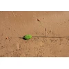 Sistema dugninei žūklei FRY Watermelon Rig On Leadcore 2 Hooks 30-50g