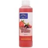 Skystas priedas jaukui Champion Feed Liquid Aroma 250ml - Raudona Fruit
