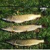 Spiningas FL Ultra Jig 2.10/2.40/2.70m 2-8g