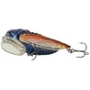 Spiningavimo masalas Pro FL Cicada Popper 7cm
