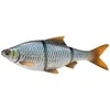 Spiningavimo masalas Savage Gear 4D LT Roach 25cm 216g