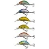 Vobleris FL Crankbait 3,1g