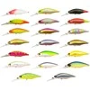 Vobleris Pontoon21 Chaos 72F DR