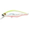 Vobleris Pontoon21 Chaos 72F SR