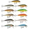 Vobleris Rapala Original Floater 5cm 3g