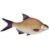Žaislas EnergoFish Pillow Bream 70cm