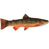 Žaislas EnergoFish Pillow Brook Trout 62cm