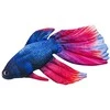 Žaislas EnergoFish Pillow Gold Fish 53cm