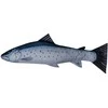 Žaislas EnergoFish Pillow Sea Trout 110cm