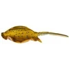 Žaislas EnergoFish Pillow Stingray 50cm