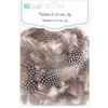 Dallprint Plunksnos putpelių 5-12cm, 5g