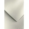 Galeria Papieru ARGO Dekoratyvinis popierius, A4, 250 gr., 20 vnt./pak., Perlo šviesaus sidabro spal.