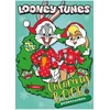 Ideyka Knygutė spalvinimui su lipdukais LOONEY TUNES: Linksmų Kalėdų Warner Bros