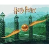 Ideyka Tapyba pagal skaičius: "HARIS PORETIS" Auksinis snitchas Warner Bros 40x50 dėžutėje