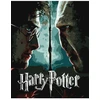 Ideyka Tapyba pagal skaičius: „HARIS POTERIS“ Haris ir Voldemortas Warner Bros 40x50 dėžutėje