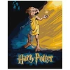 Ideyka Tapyba pagal skaičius: „HARIS POTERIS“ Dobby plakatas Warner Bros 40x50 dėžutėje