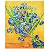 Ideyka TAPYBA PAGAL SKAIČIUS RINK VAN GOGH