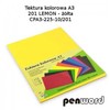Kartonas A3/ 10l 225g geltonas PenWord
