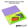 Kartonas A3/ 10l 225g violetinis PenWord