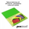 Kartonas A3/ 10l 225g žalias PenWord
