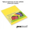 Kartonas A4/ 10l 225g PenWord geltonas