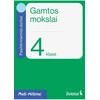 KNYGA Šviesa Gamtos mokslai. Pasitikrinamieji darbai 4 klasei. Serija Maži milžinai