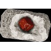 Kosmos Detalės DIG lt! MINERALS & FOSSILS 5+