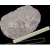 Kosmos Detalės DIG lt! MINERALS & FOSSILS 5+