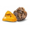 Kosmos Lavinamasis rinkinys DIG OUT FOSSILS 7-11
